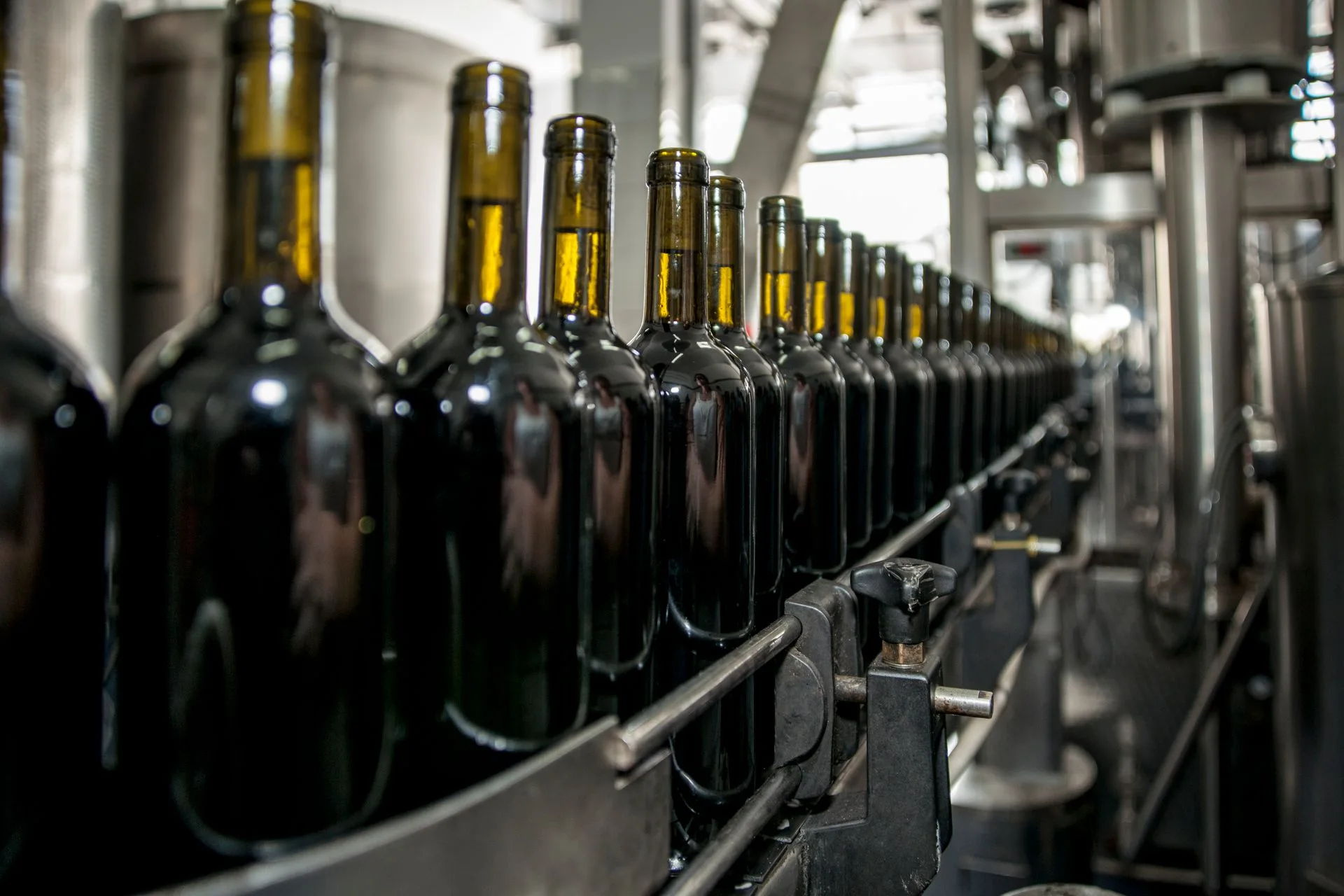 Bouteilles en verre convoyées sur une ligne industrielle de conditionnement.